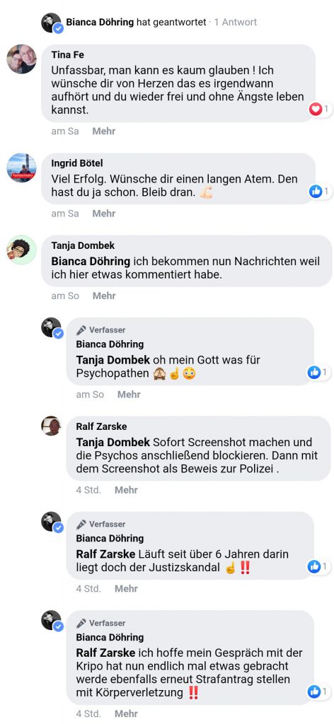 Bianca Döhring Facebook Strafanzeige.jpeg