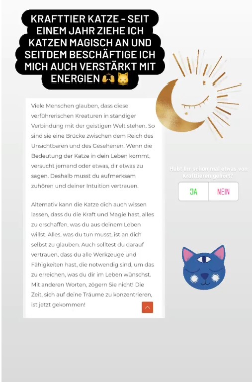 Bianca Döhring - Katzen Energie.jpg