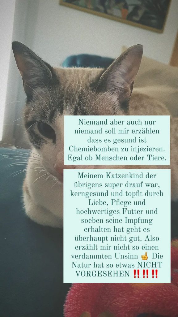 Bianca Döhring-Katze-Impfung.jpg