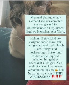 Bianca Döhring - Katze Impfung.jpg