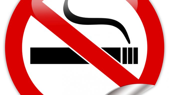 Smoke Free Konzept, Bianca Döhring BiBi, Plan Seminar, Hannover Hamburg Mallorca, Rauchen aufgeben Raucher abgewöhnen Nicht-Raucher Zigarette Zigaretten Sucht