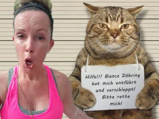 Bianca Döhring Straftat Unterschlagung Mallorca Palma Katzen Entführung Freigänger Katze gesucht vermisst entlaufen entführt Diebstahl Raub verschleppt Kidnapping Tierarzt