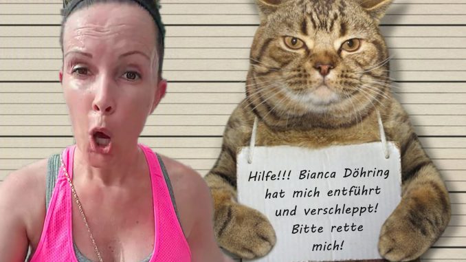 Bianca Döhring Straftat Unterschlagung Mallorca Palma Katzen Entführung Freigänger Katze gesucht vermisst entlaufen entführt Diebstahl Raub verschleppt Kidnapping Tierarzt