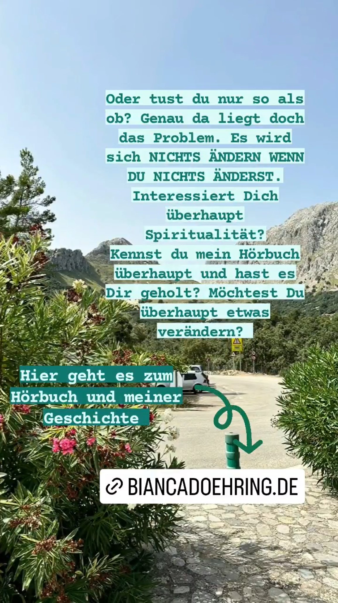 Bianca Döhring Instagram Profi Account keine Likes kein Feedback Kunden